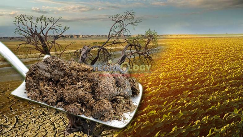 Agriculture and food systems are the relative cause of increasing temperature but are the fundamental part of a strategy to control greenhouse gas (GHG) emission, ecosystem and improving quality of arable land.