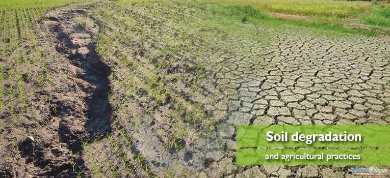 Soil degradation and agricultural practices