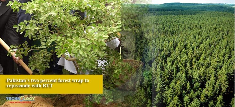 Pakistan’s two percent forest wrap to rejuvenate with BTT