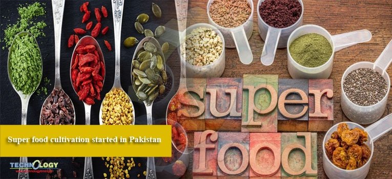 Super food cultivation started in Pakistan