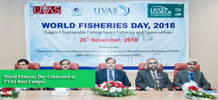 World Fisheries Day Celebrated at UVAS Ravi Campus