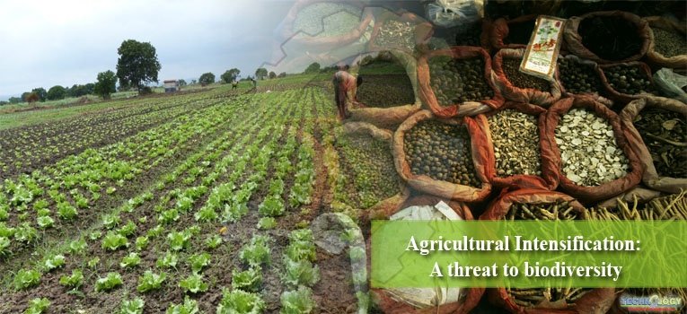 Agricultural Intensification A threat to Biodiversity