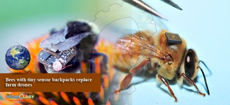 Bees with tiny sensor backpacks replace farm drones