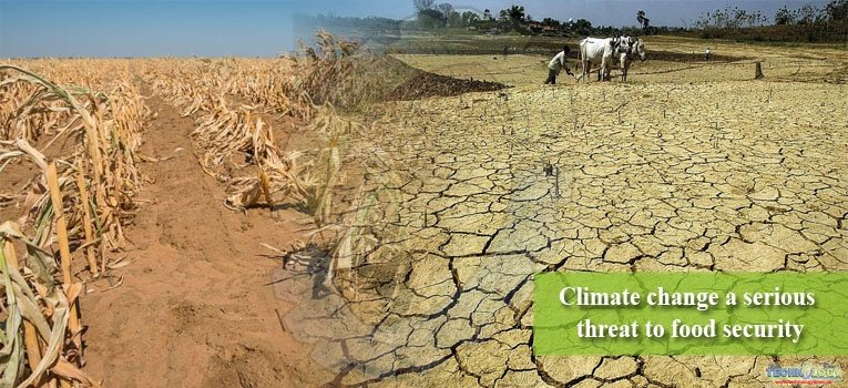 Climate change a serious threat to food security