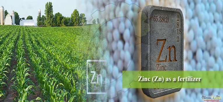Zinc (Zn) as a fertilizer