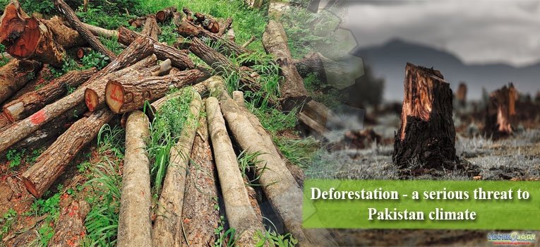 Deforestation - a serious threat to Pakistan climate