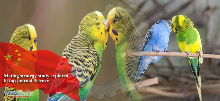 Mating strategy study explored in top journal Science
