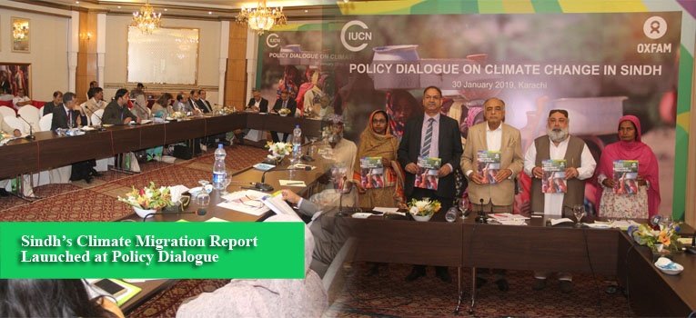 Sindh’s Climate Migration Report Launched at Policy Dialogue
