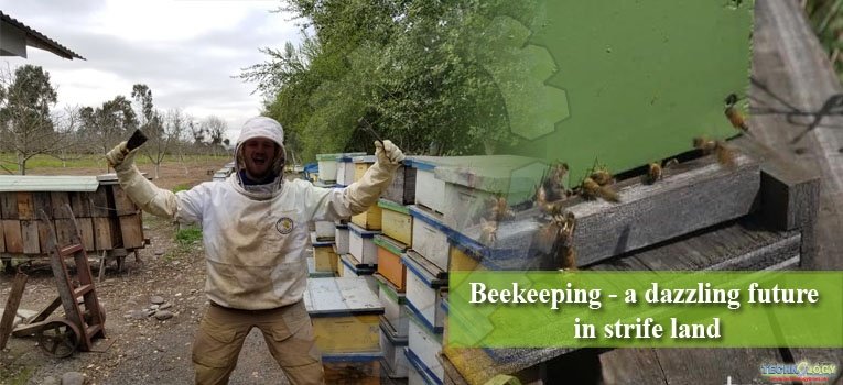 Beekeeping - a dazzling future in strife land