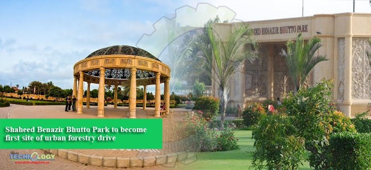 Shaheed Benazir Bhutto Park to become first site of urban forestry drive