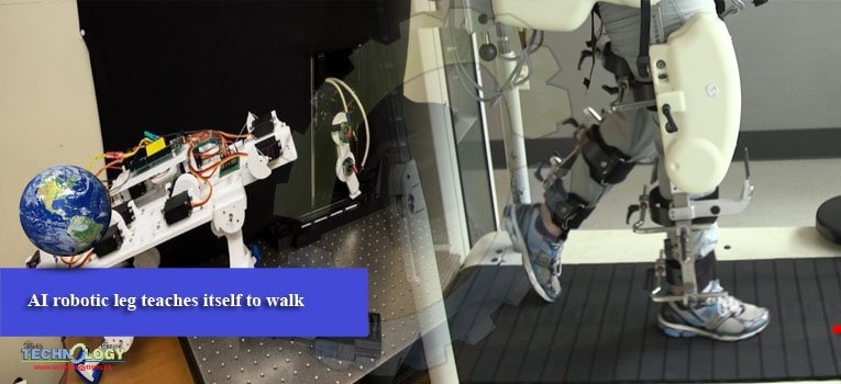 AI robotic leg teaches itself to walk