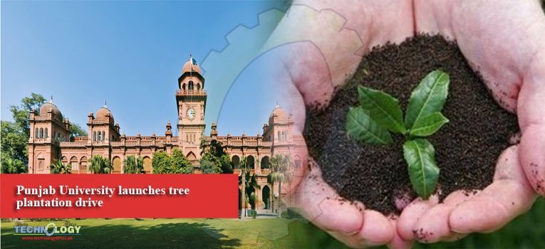 Punjab University launches tree plantation drive