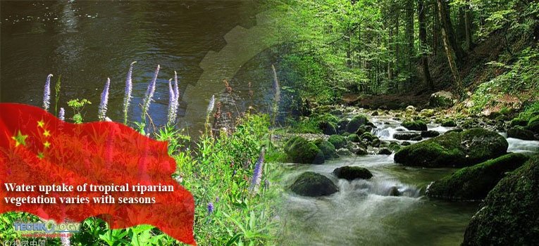 Water uptake of tropical riparian vegetation varies with seasons