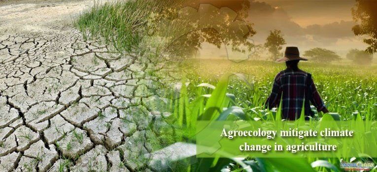 Agroecology mitigate climate change in agriculture