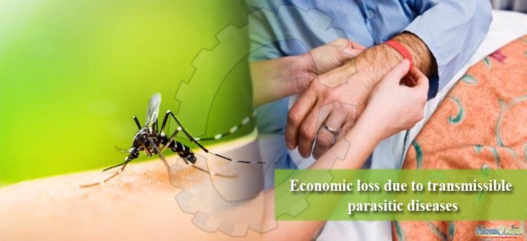Economic loss due to transmissible parasitic diseases