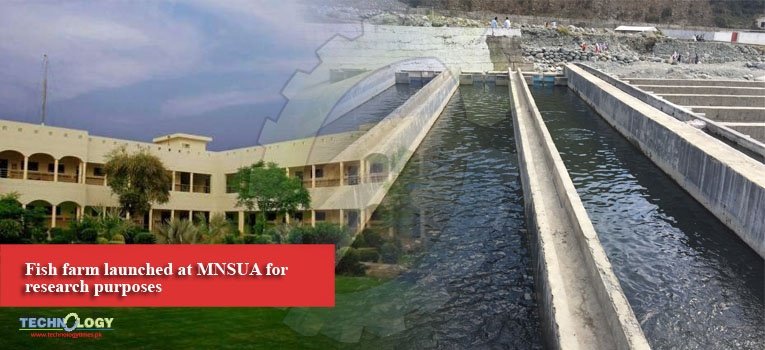Fish farm launched at MNSUA for research purposes