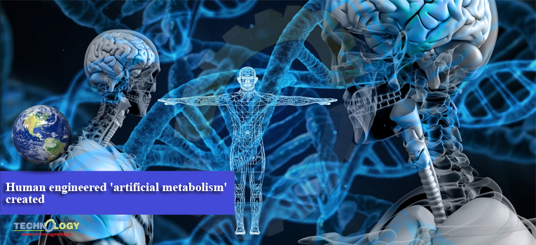 Human engineered 'artificial metabolism' created