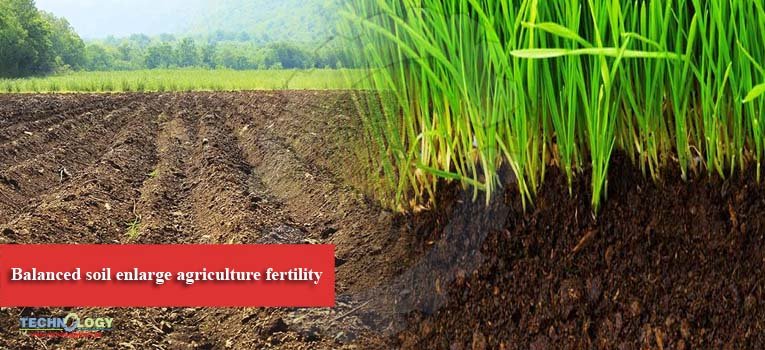 Balanced soil enlarge agriculture fertility