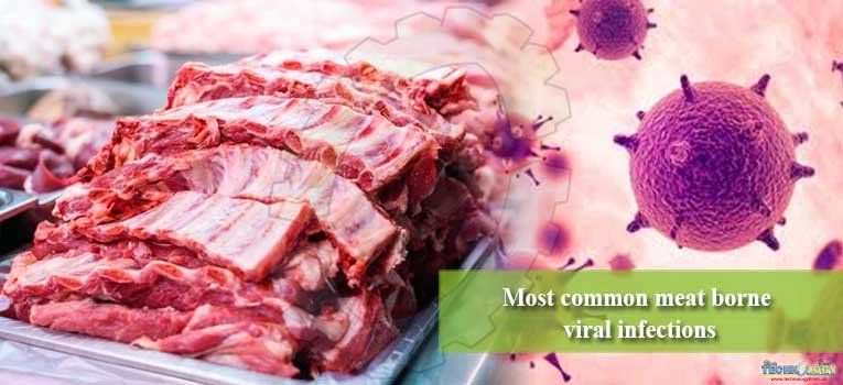 Most common meat borne viral infections