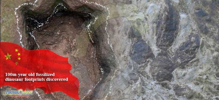 100m-year old fossilized dinosaur footprints discovered