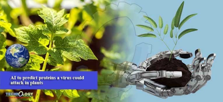 AI to predict proteins a virus could attack in plants