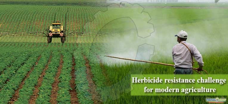 Herbicide resistance challenge for modern agriculture