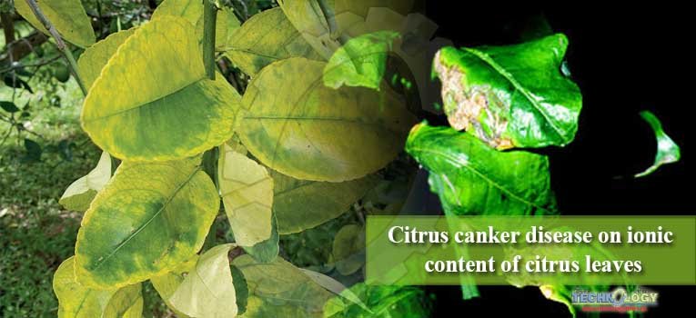 Citrus canker disease on ionic content of citrus leaves
