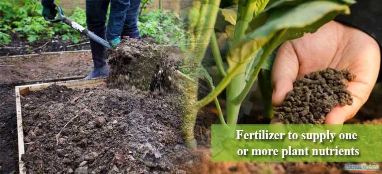 Fertilizer to supply one or more plant nutrients