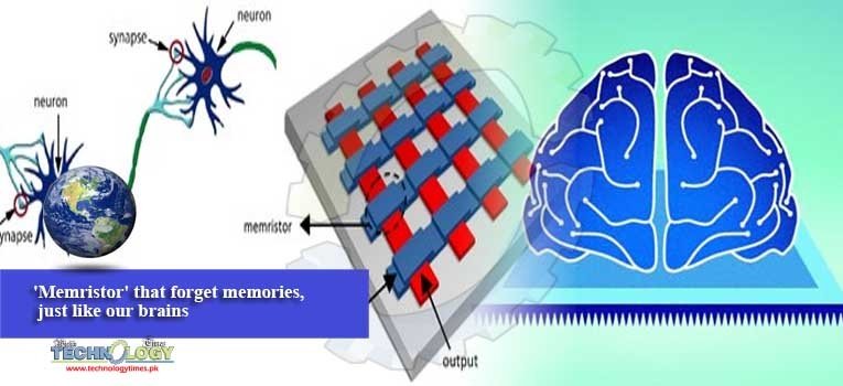 'Memristor' that forget memories, just like our brains