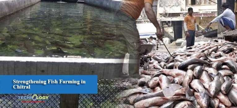 Strengthening Fish Farming in Chitral