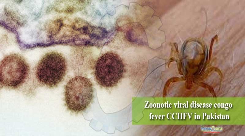 Zoonotic viral disease congo fever CCHFV in Pakistan