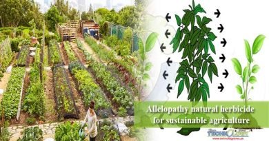 Allelopathy natural herbicide for sustainable agriculture