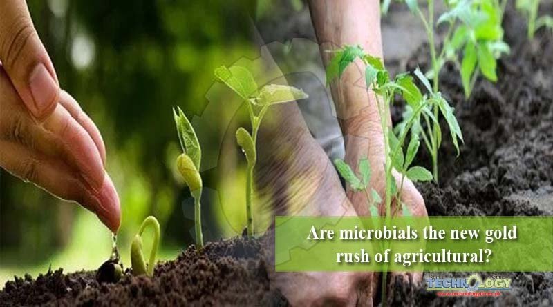 Are microbials the new gold rush of agricultural?