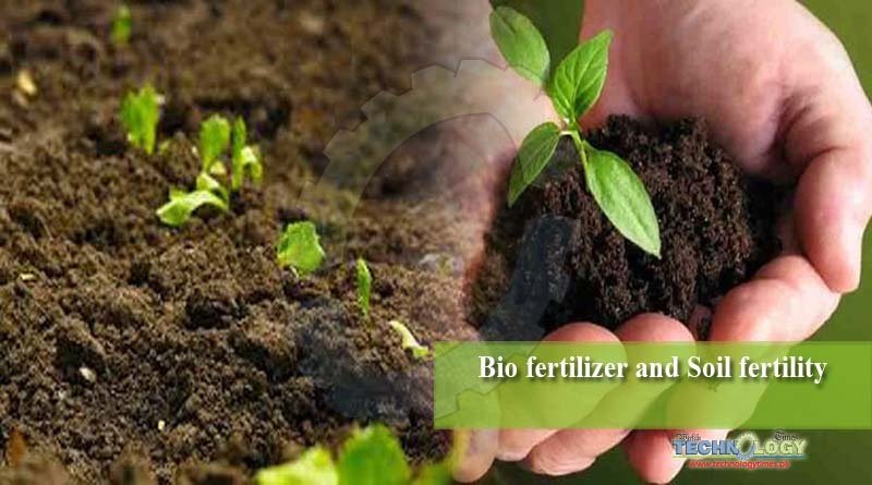 Bio fertilizer and Soil fertility