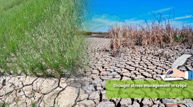 Drought stress management in crops