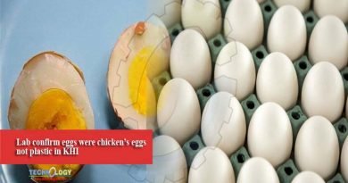 Lab confirm eggs were chicken’s eggs not plastic in KHI
