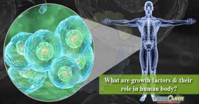 What are growth factors & their role in human body?