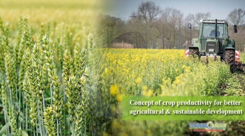 Concept of crop productivity for better agricultural & sustainable development