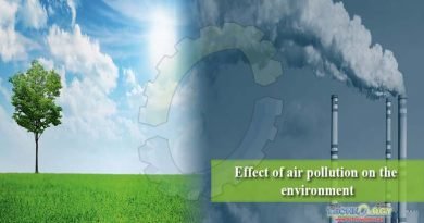Effect of air pollution on the environment