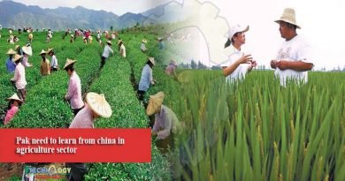 Pak need to learn from china in agriculture sector