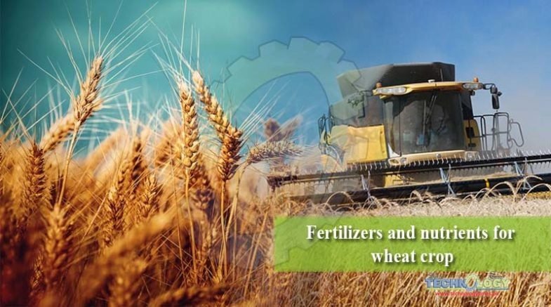 Fertilizers and nutrients for wheat crop