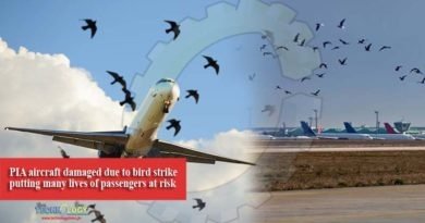 PIA aircraft damaged due to bird strike putting many lives of passengers at risk