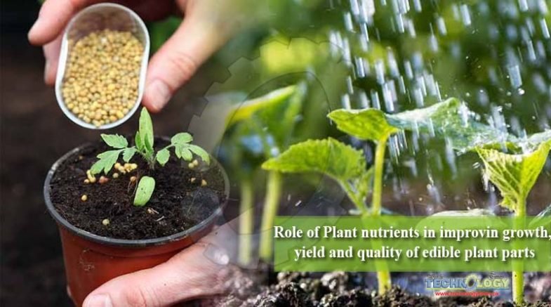Role of Plant nutrients in improving growth, yield and quality of edible plant parts