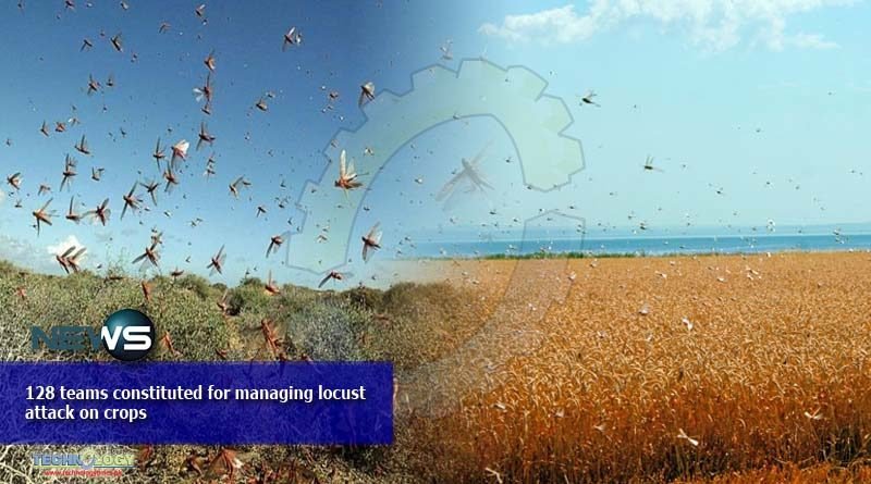 128 teams constituted for managing locust attack on crops