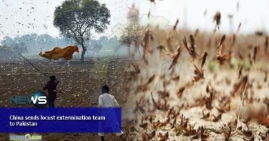 China sends locust extermination team to Pakistan