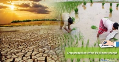 Crop production effect by climate change