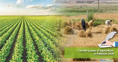 Current Issues of Agriculture in Pakistan 2020
