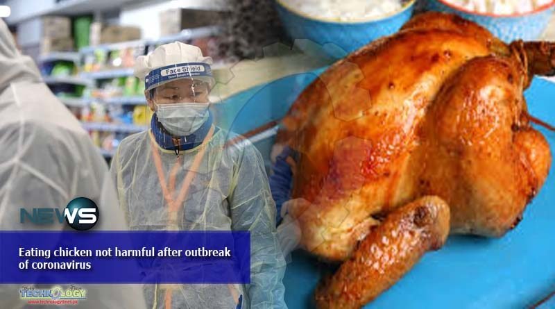 Eating chicken not harmful after outbreak of coronavirus
