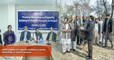 UVAS organized capacity building training workshop of ostrich farmers