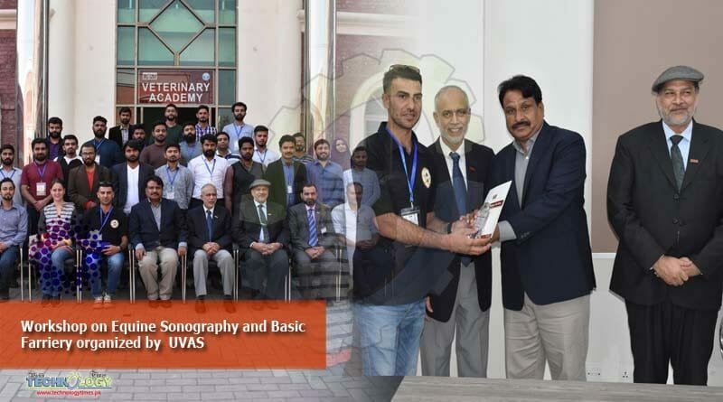 Workshop on Equine Sonography and Basic Farriery organized by UVAS